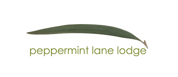 Peppermint Lane Lodge