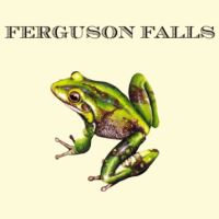 Ferguson-Falls