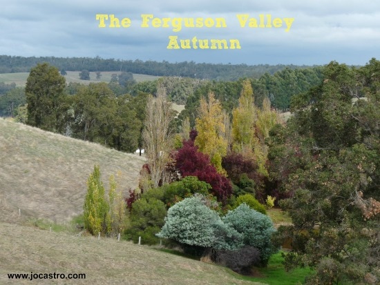 ferguson-valley-seasons