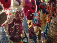 31 Pardoe Collab close